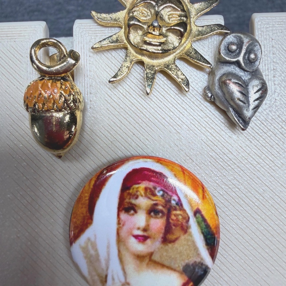 Lapel Pin Set Mixed Metal Gold Silver Tone Sun Owl Acorn Portrait Vintage Small
